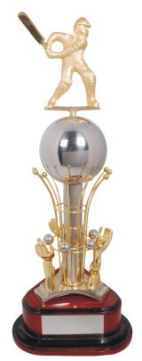 Cricket Champions Trophies