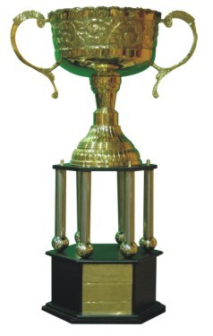 Designer Cup Trophies