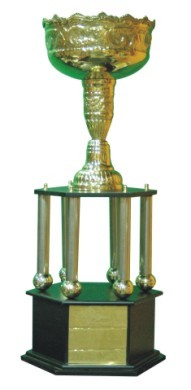 Designer Cup Trophies