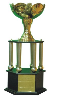 Designer Cup Trophies