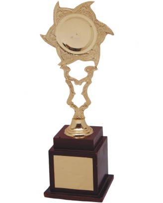 Designer Cup Trophies