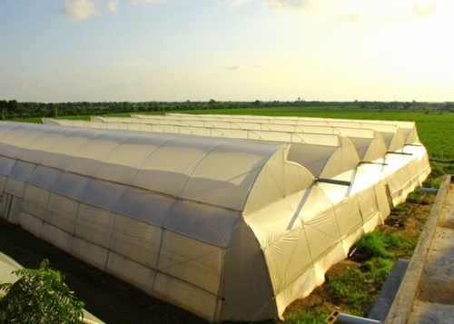 Green Houses Design And Installation - Polycarbonate Frame Variable Dimensions | Durable Steel Frame Adjustable Ventilation Climate Control Concrete Foundation Expert Service 10 Year Warranty