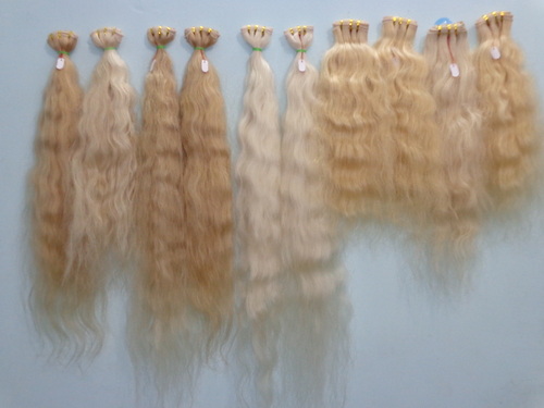 Indian Blonde Human Hair