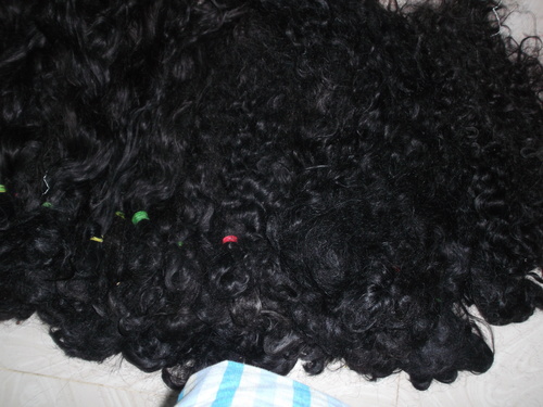 Temple Hair - Raw Hair