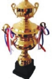 Designer Cup Trophies