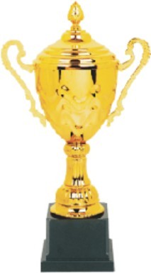 Designer Cup Trophies