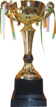 Designer Cup Trophies - Metal Resin, 20-30cm, Gold on Black Resin Base | Elegant Design, Award Recognition, Motivational Tool
