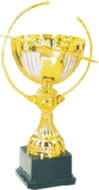 Designer Cup Trophies