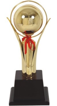 Designer Cup Trophies