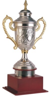 Designer Cup Trophies