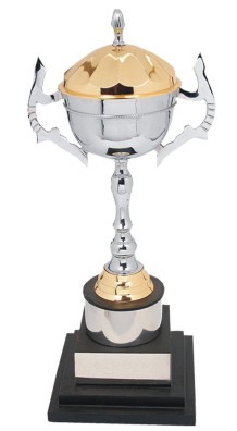 Designer Cup Trophies