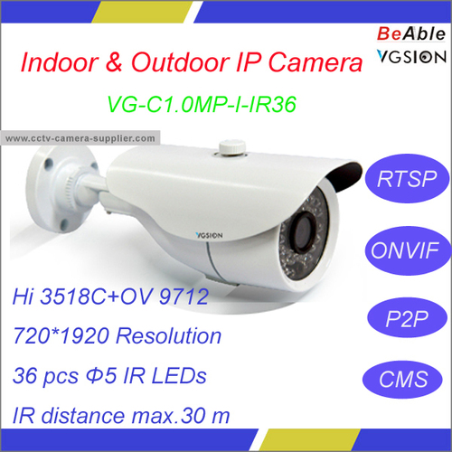 1.0MP Indoor & Outdoor IP Camera
