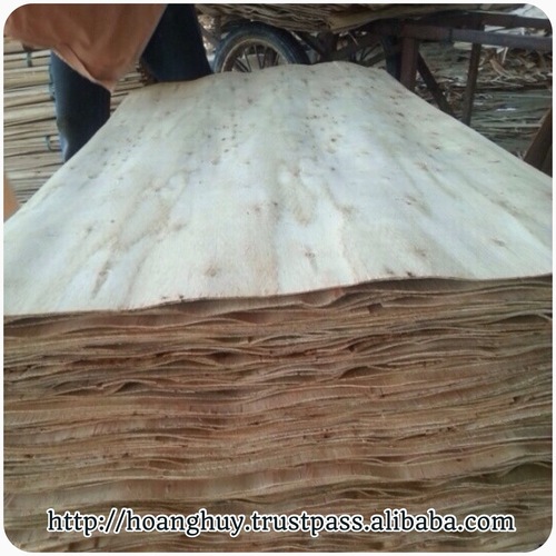 CORE VENEER FOR PLYWOOD