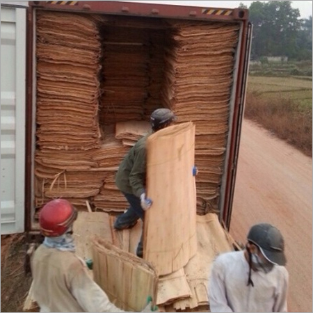 HIGH QUALITY EUCALYPTUS VENEER IN VIETNAM