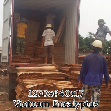 HOANG HUY EUCAPYPTUS VENEER