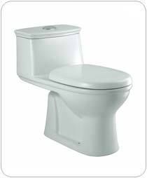 Sanitaryware Parryware