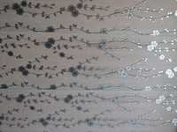 Pvc Designer Wall Panels - 8-12mm Thickness, 4.5kg Weight | Durable, Crack Resistant Finish, Customized Packaging Options