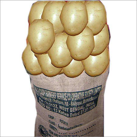 Potato Plant Seeds