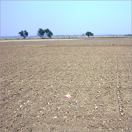 Sowing Seed Plot Technique