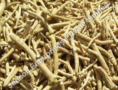 Ashwagandha Roots