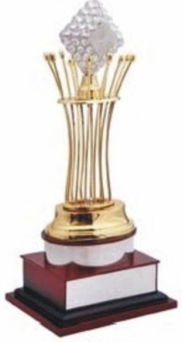 Designer Trophies