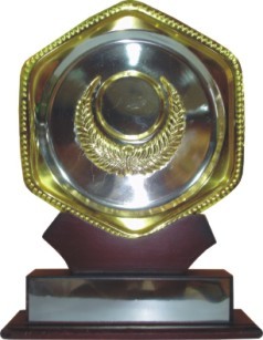 Designer Trophies - Metal & Wood Hexagonal Base, Gold Color | Elegant Design, Customizable, Award Recognition