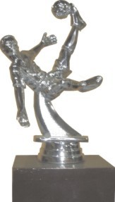 Designer Trophies - Metal Alloy & Wood Base, 25-30cm, Silver | Unique Eye-Catching Design, Achievement Marker