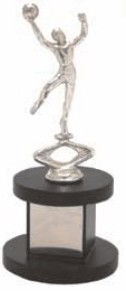 Designer Trophies