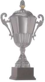 Designer Trophies - Metal Wood 12-18 Inches Silver, Polished Finish, Elegant Design, Customizable Awards