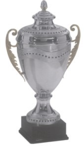 Designer Trophies - Metal Resin 30-40 cm Silver, Polished Finish, Elegant Award Recognition