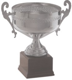 Designer Trophies