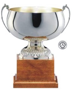 Designer Trophies