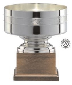 Designer Trophies