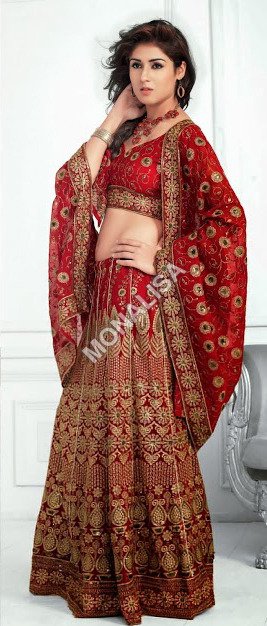 Indian Ghagra Choli