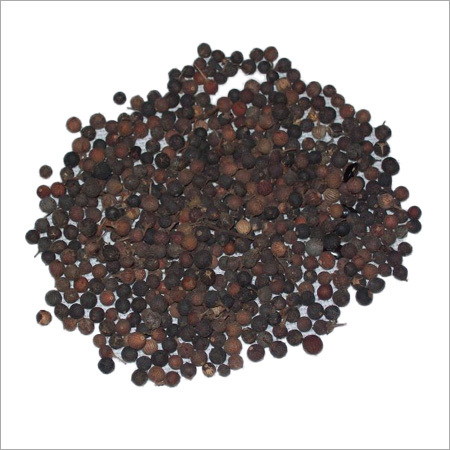 Black Pepper Seeds