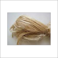 Banana Fibre