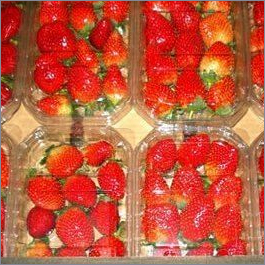 Protein Packed Strawberry