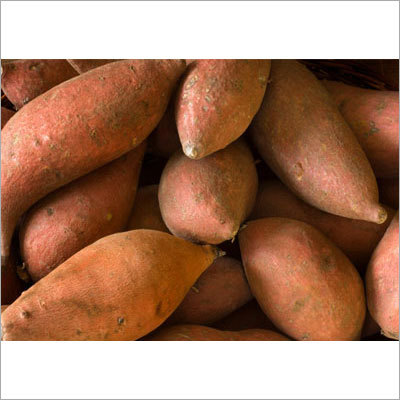 Organic Sweet Potato