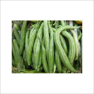 Indian Snake Gourd
