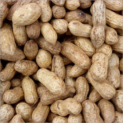 Fresh Groundnuts