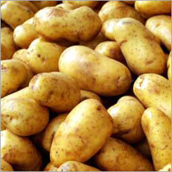 Fresh Potatoes