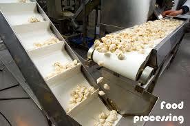 conveyor belt for food industry