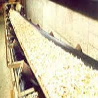 conveyor belt for food application