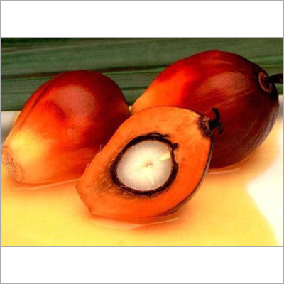 Refined Palm Oil - Red Color, Purity 99%, Free Fatty Acids <1% | High Yield, Versatile Uses, Stable Quality, Long Shelf Life