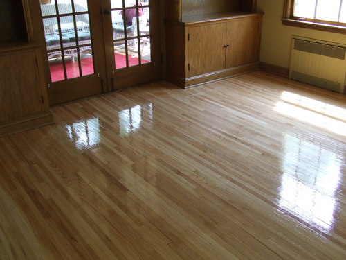 Laminate Floor Cleaner