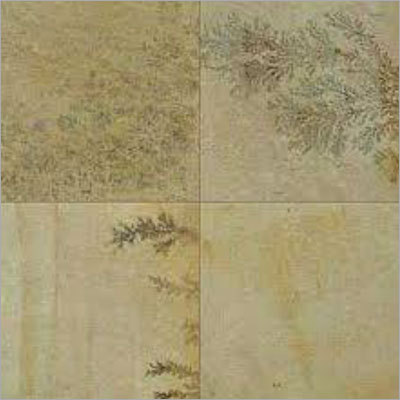 Fossil Mint Sandstone
