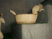 Willow Hen