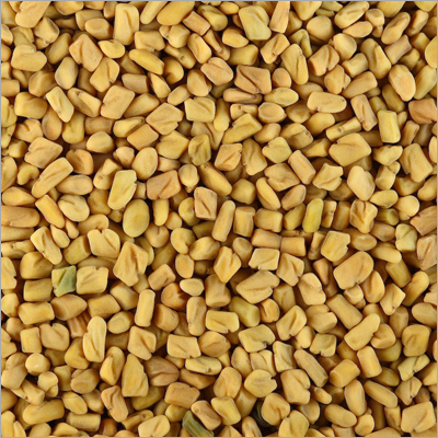 Fenugreek Seeds