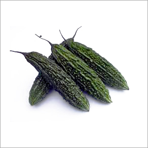 Bitter Gourd
