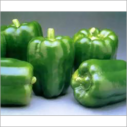 Fresh Capsicum - Shape: Natural